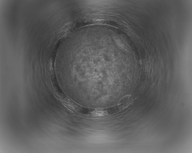 X0000056340711200509091530