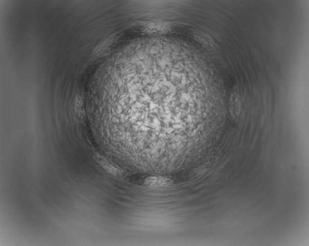 X0000056340714200509091530