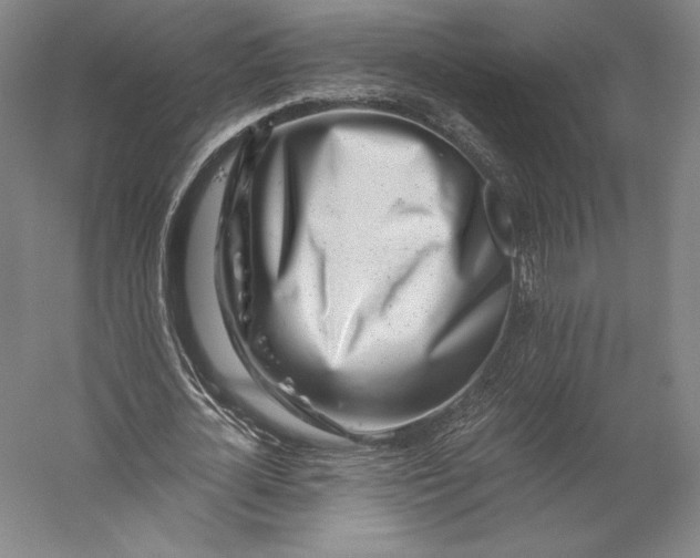 X0000056340724200509091529