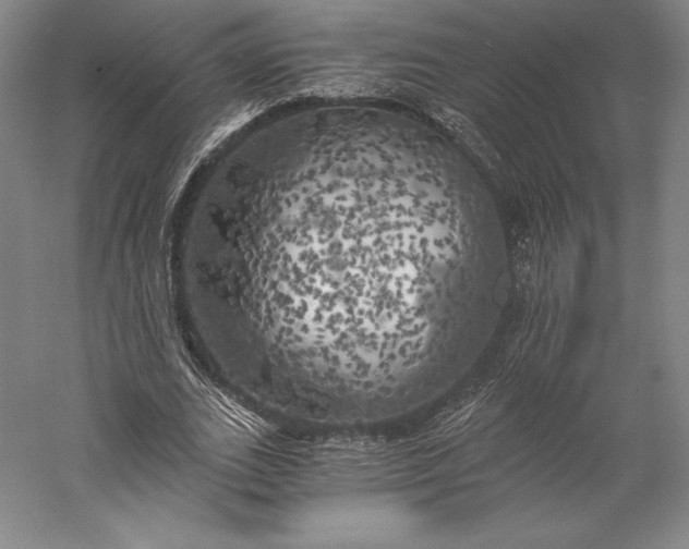 X0000056340727200509091529