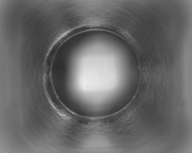 X0000056340728200509091529