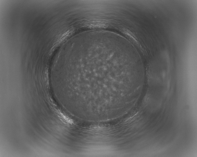X0000056340729200509091529
