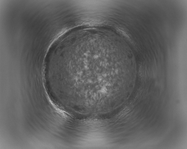 X0000056340730200509091529