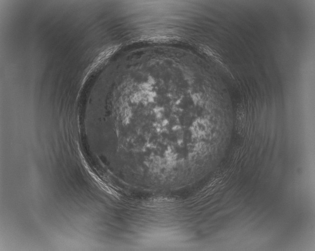 X0000056340734200509091529