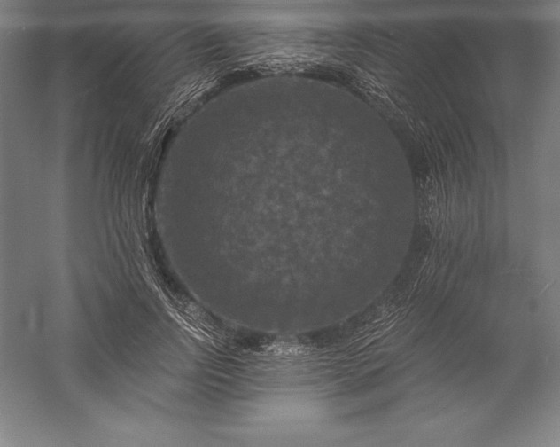 X0000056340742200509091530