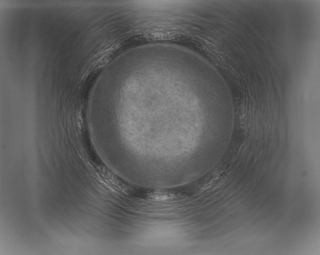 X0000056340746200509091530