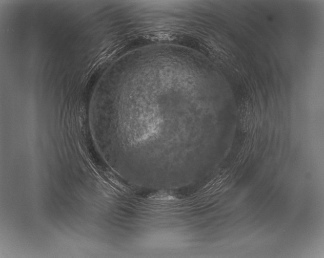 X0000056340747200509091530