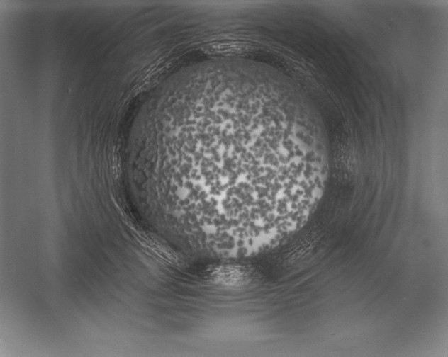 X0000056340751200509091530