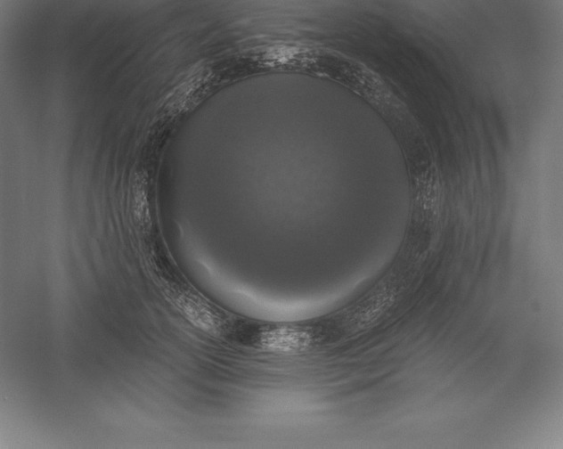 X0000056340754200509091530