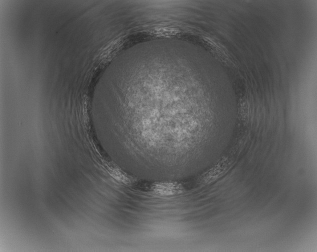 X0000056340757200509091530