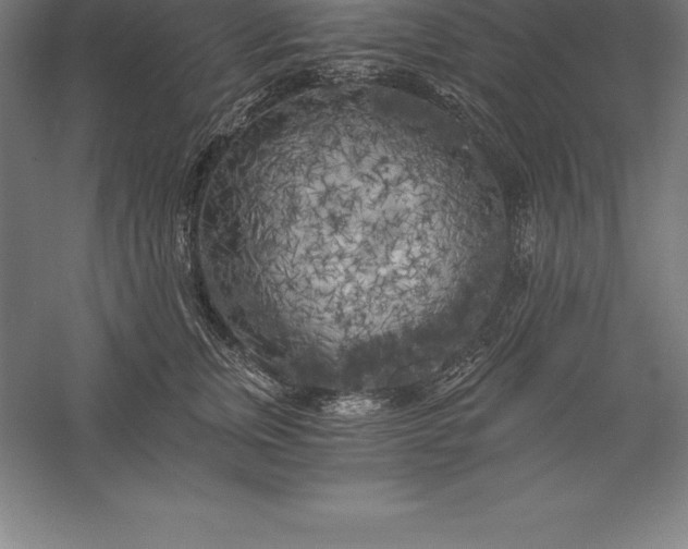 X0000056340759200509091530
