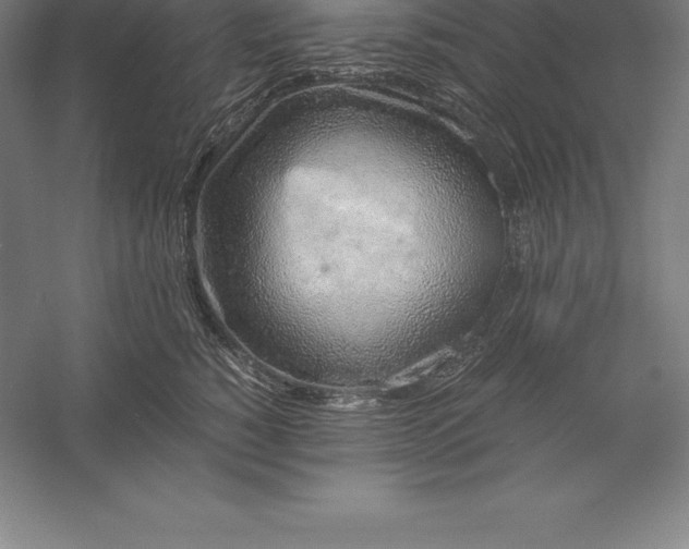 X0000056340760200509091530
