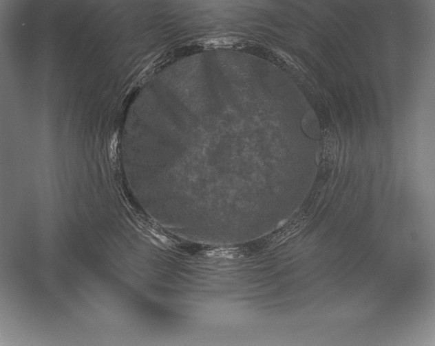 X0000056340761200509091530