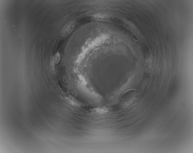 X0000056340765200509091530