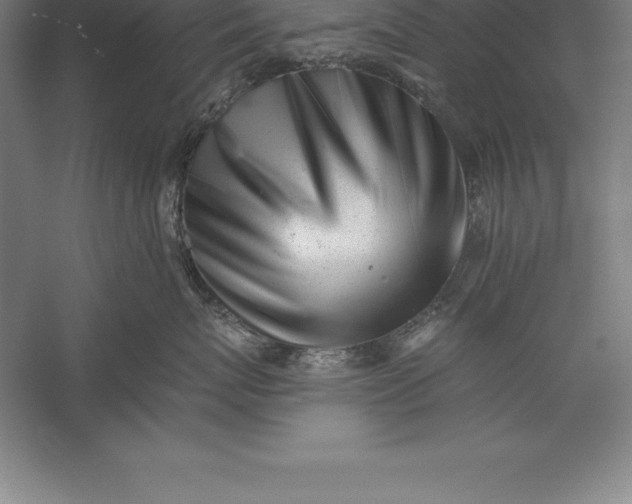 X0000056340767200509091530