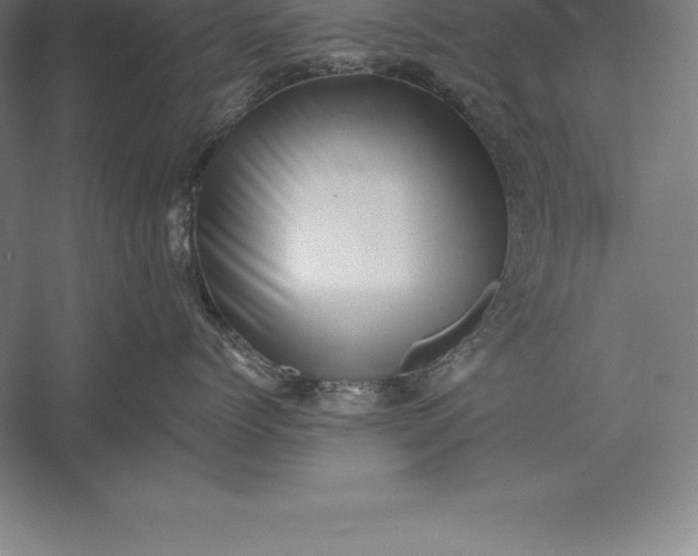 X0000056340768200509091530