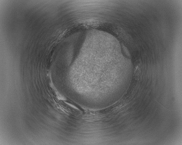 X0000056340772200509091529