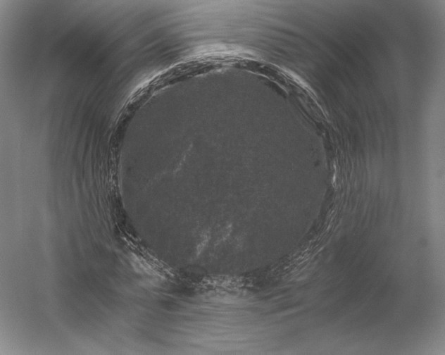 X0000056340775200509091529