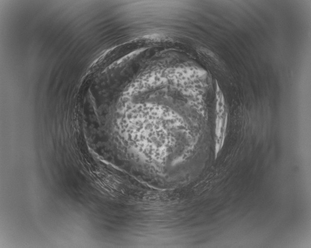 X0000056340776200509091529
