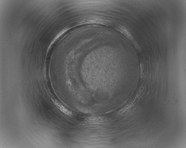 X0000056340780200509091529