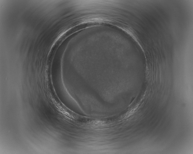 X0000056340783200509091529