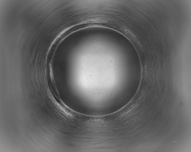 X0000056340784200509091529