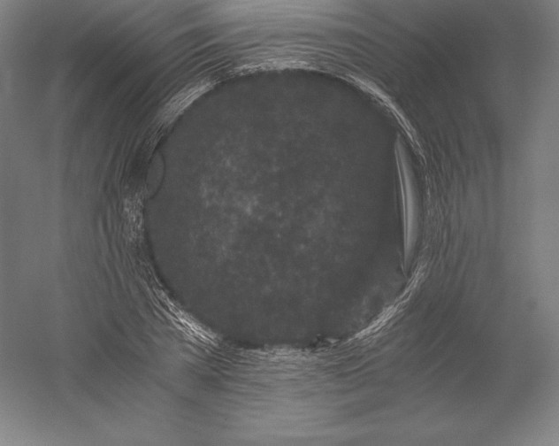 X0000056340785200509091529