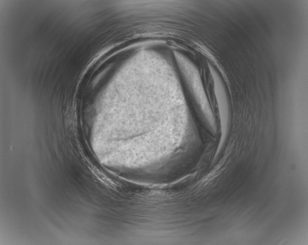X0000056340787200509091529