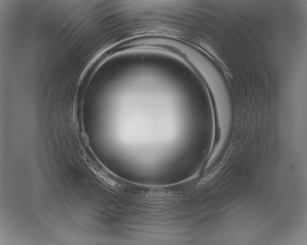 X0000056340788200509091529