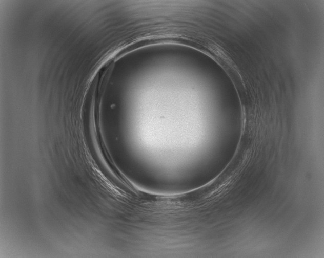 X0000056340789200509091529
