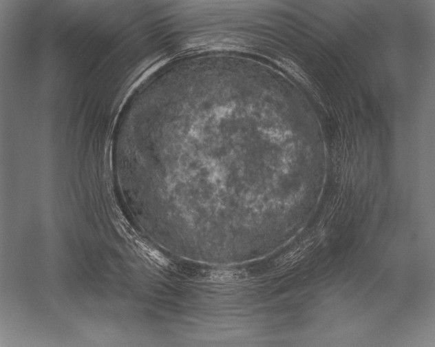 X0000056340790200509091529