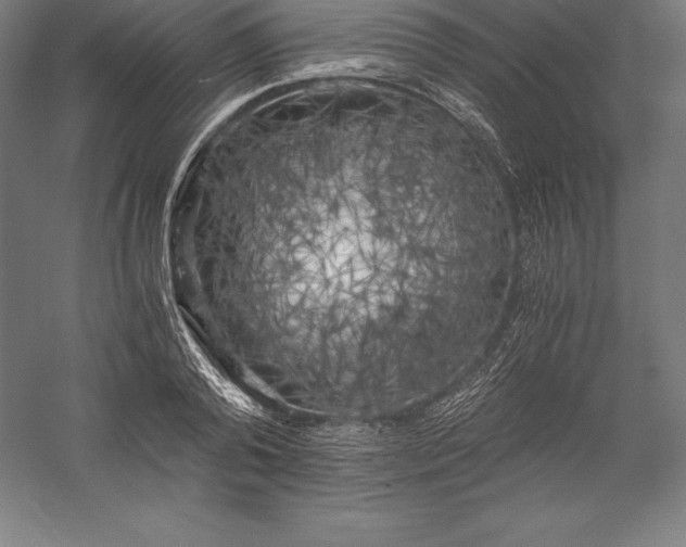 X0000056340792200509091529