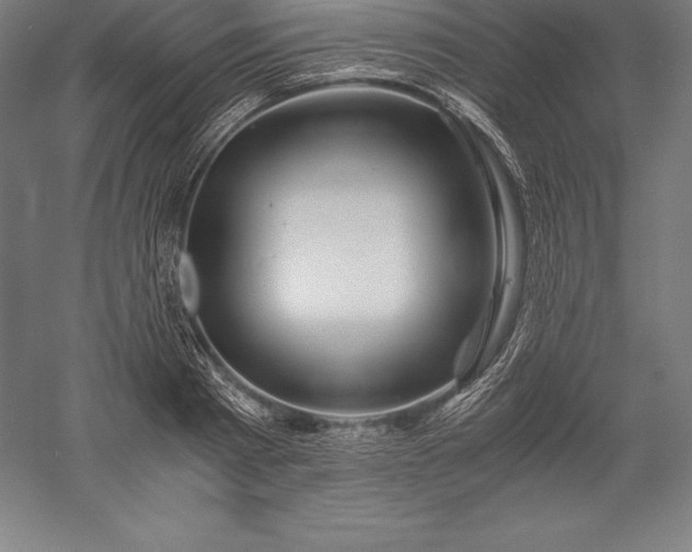 X0000056340793200509091529