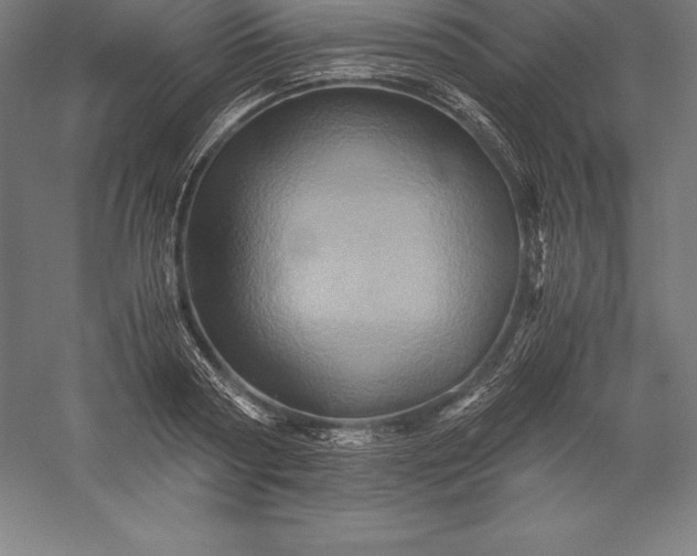 X0000056340794200509091529