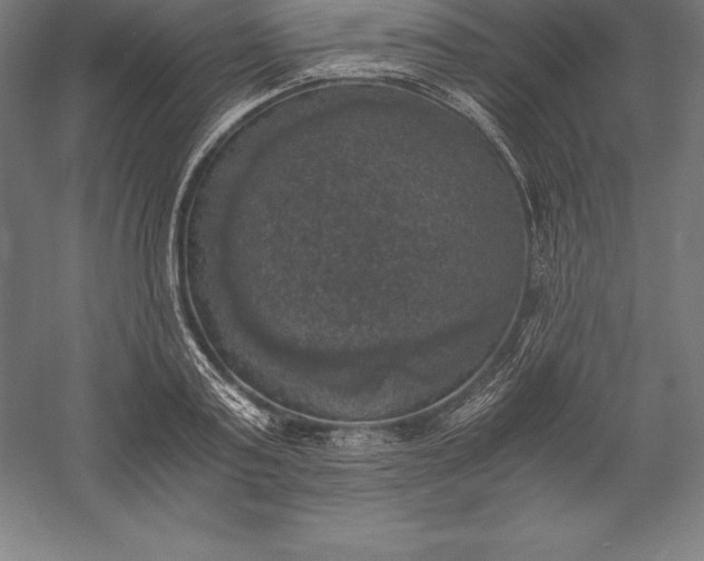 X0000056340795200509091529