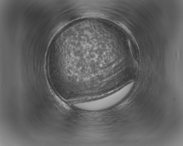 X0000056340799200509091529