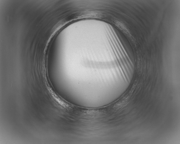 X0000056340800200509091529