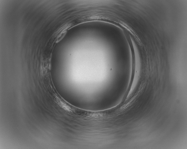 X0000056340801200509091529