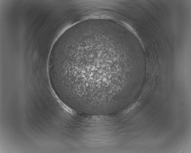 X0000056340803200509091529