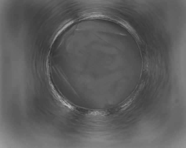 X0000056340806200509091529