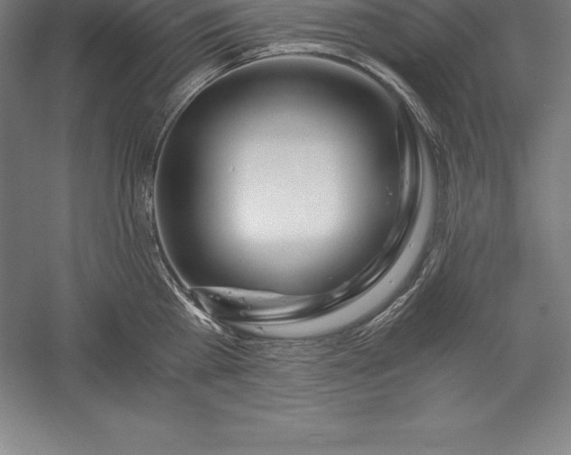 X0000056340809200509091528