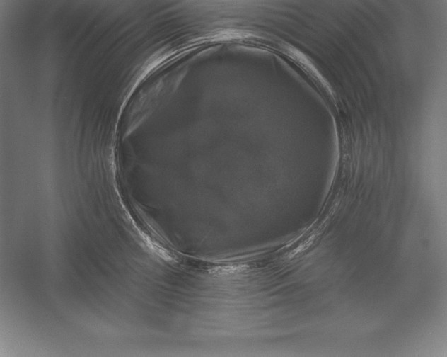 X0000056340810200509091528