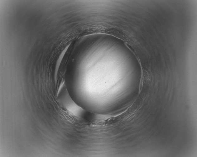 X0000056340818200509091528