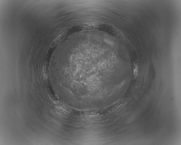 X0000056340819200509091528