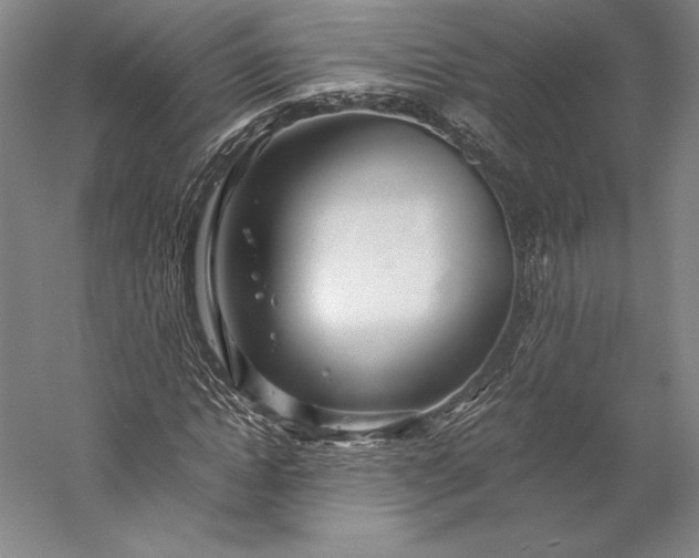 X0000056340822200509091528