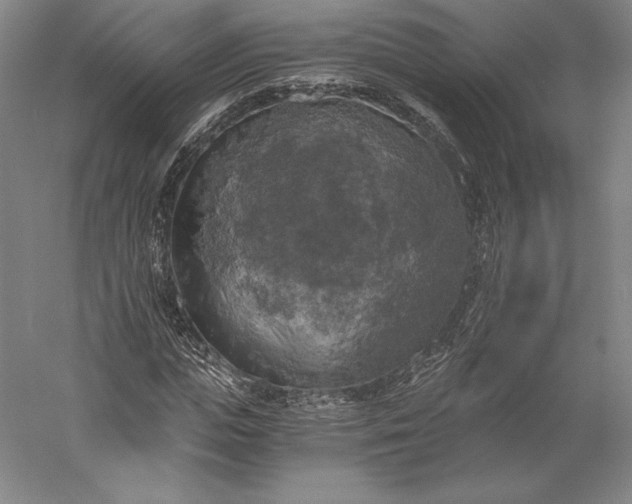 X0000056340823200509091528