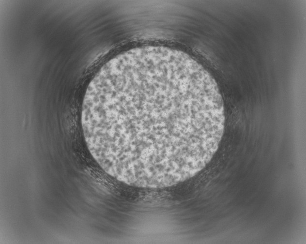 X0000056340824200509091528