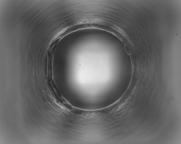 X0000056340826200509091528