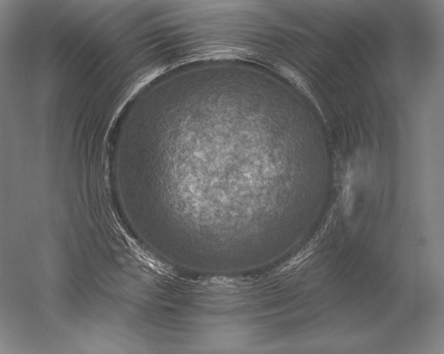 X0000056340827200509091528