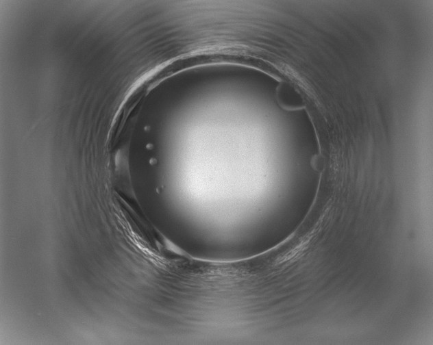 X0000056340830200509091528